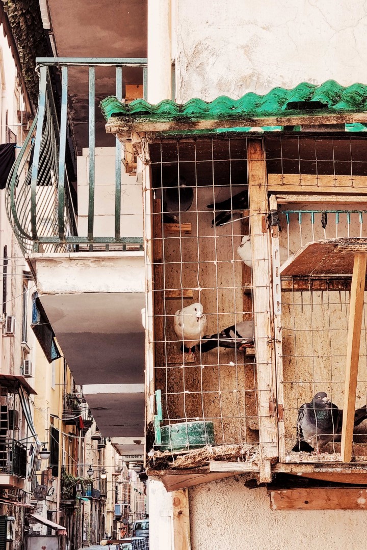 neapol poza utartym szlakiem