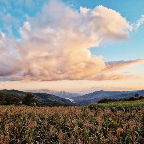 Majorka – odkryj przyrodnicze skarby wyspy