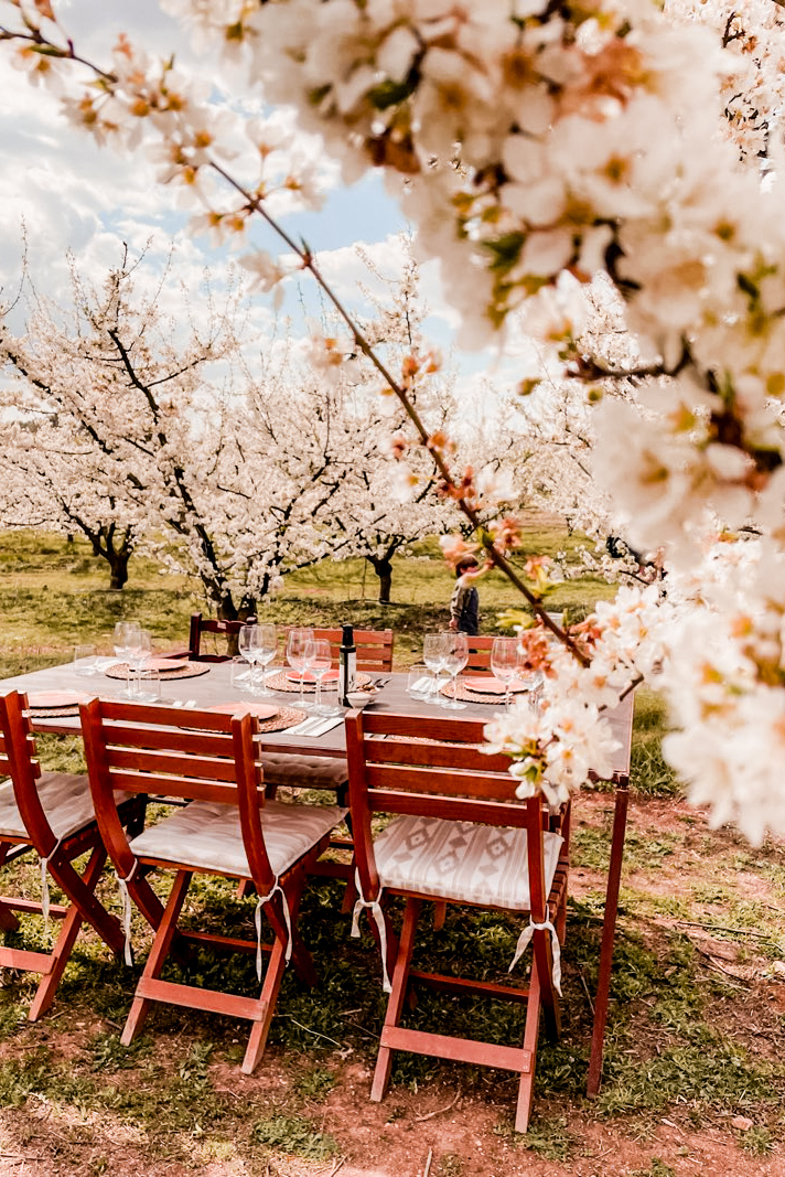 terragust restauracja majorka