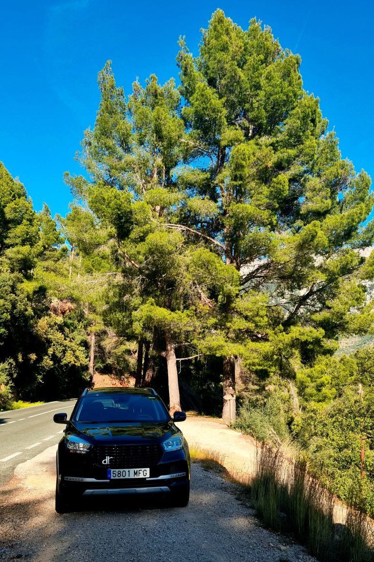 wypozyczalnia samochodu majorka