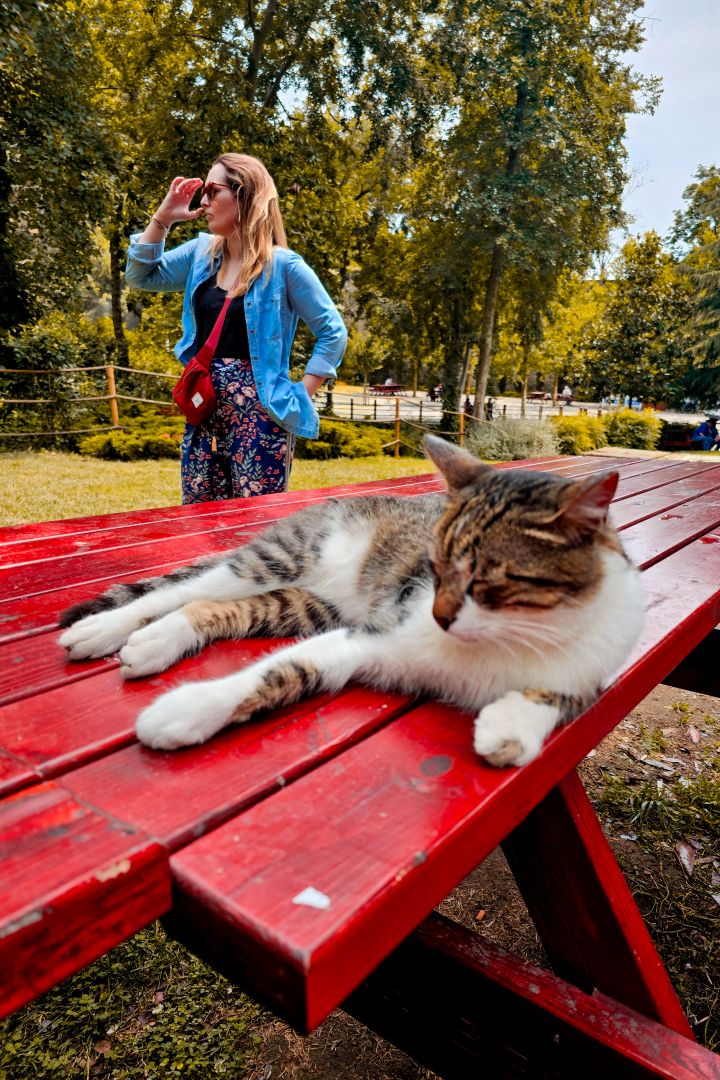 stambul ciekawe miejsca