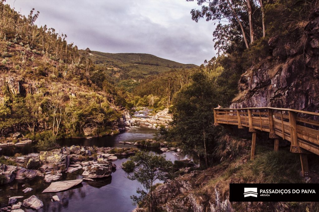 Processed with VSCO with g9 preset