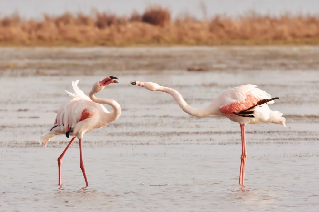 Processed with VSCO with g9 preset